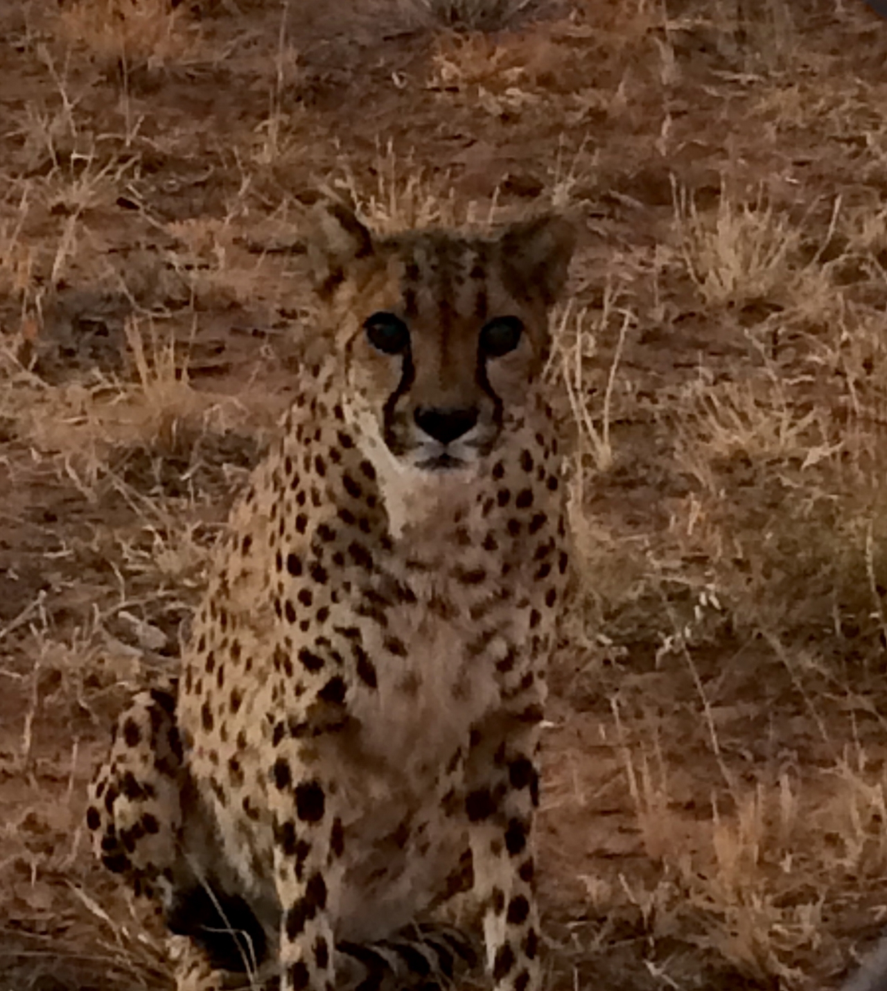 [8957] 2016_06_23_12_28_39_Africa_iPhone_5s_IMG_8261_06048.jpg