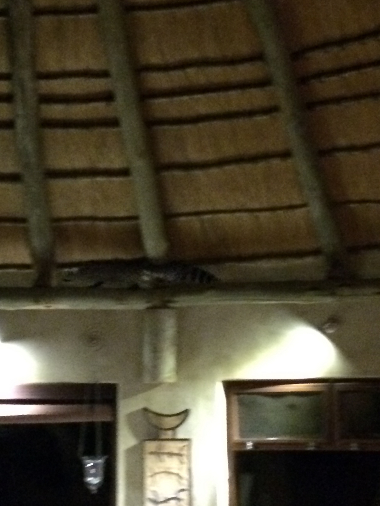 [9587] 2016_06_23_17_52_24_Africa_iPhone_5s_IMG_8272_06068.jpg