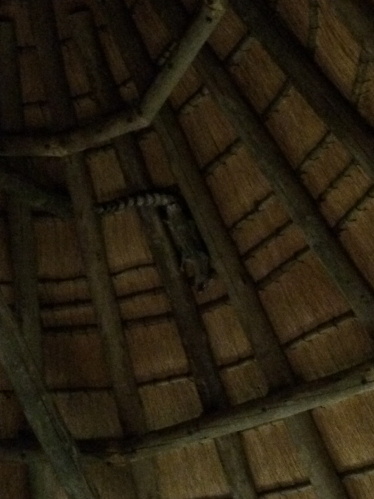 [9611] 2016_06_23_17_54_00_Africa_iPhone_5s_IMG_8278_06080.jpg