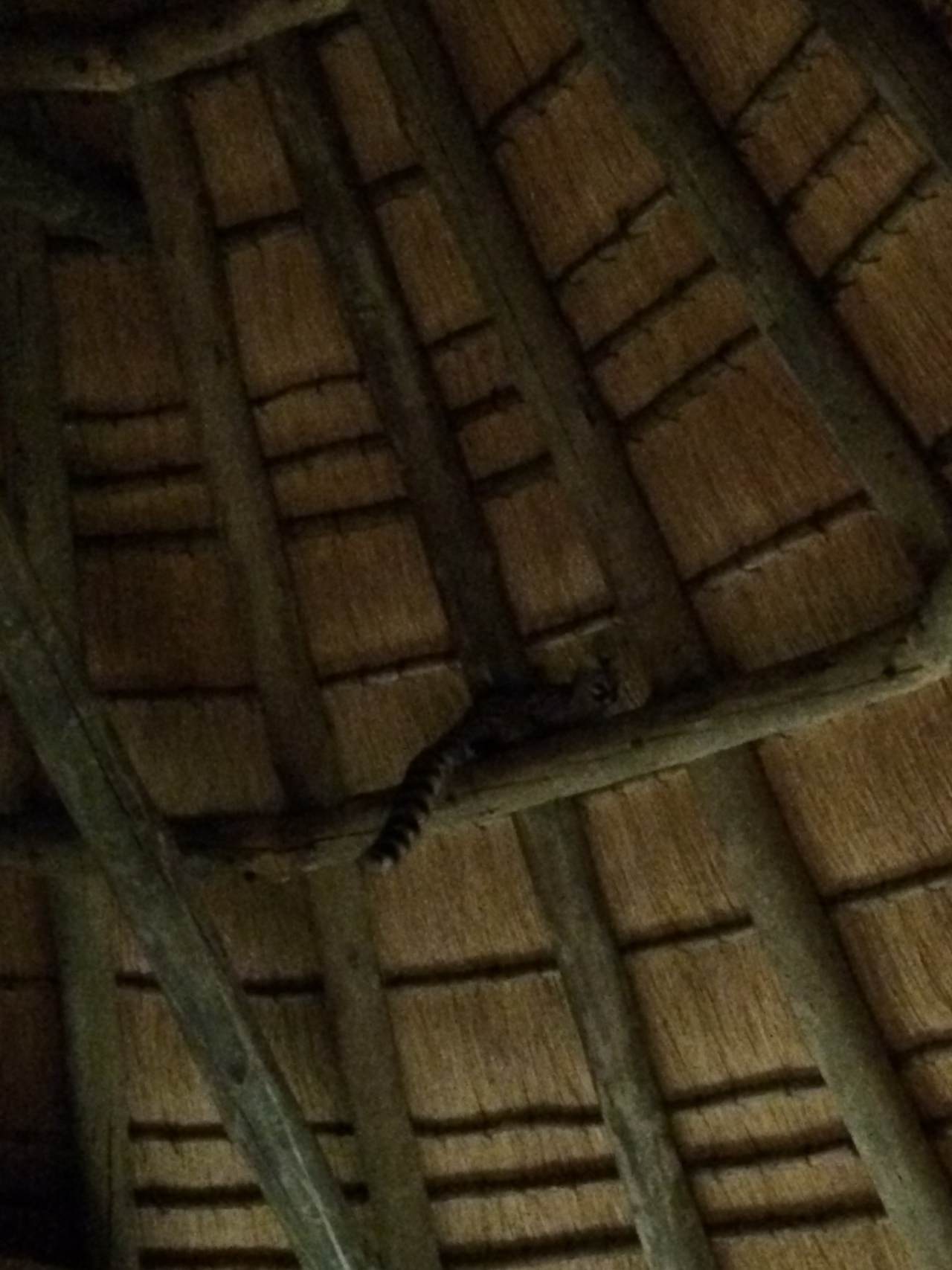 [9614] 2016_06_23_17_54_06_Africa_iPhone_5s_IMG_8279_00468.jpg