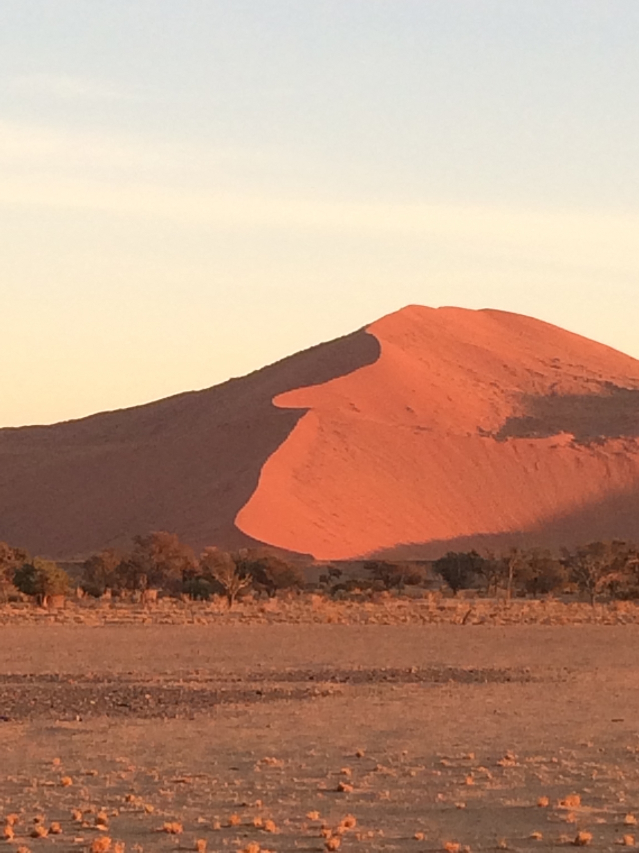 [14621] 2016_06_25_01_51_14_Africa_iPhone_5s_IMG_8302_00506.jpg