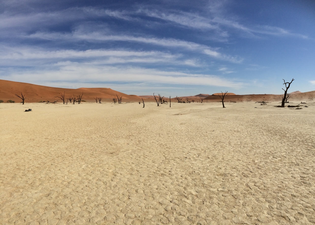 [15354] 2016_06_25_05_07_10_Africa_iPhone_5s_IMG_8353_00554.jpg