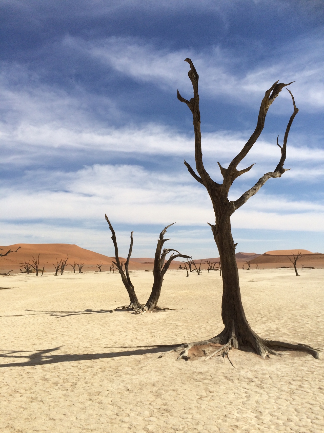 [15366] 2016_06_25_05_22_00_Africa_iPhone_5s_IMG_8356_00560.jpg