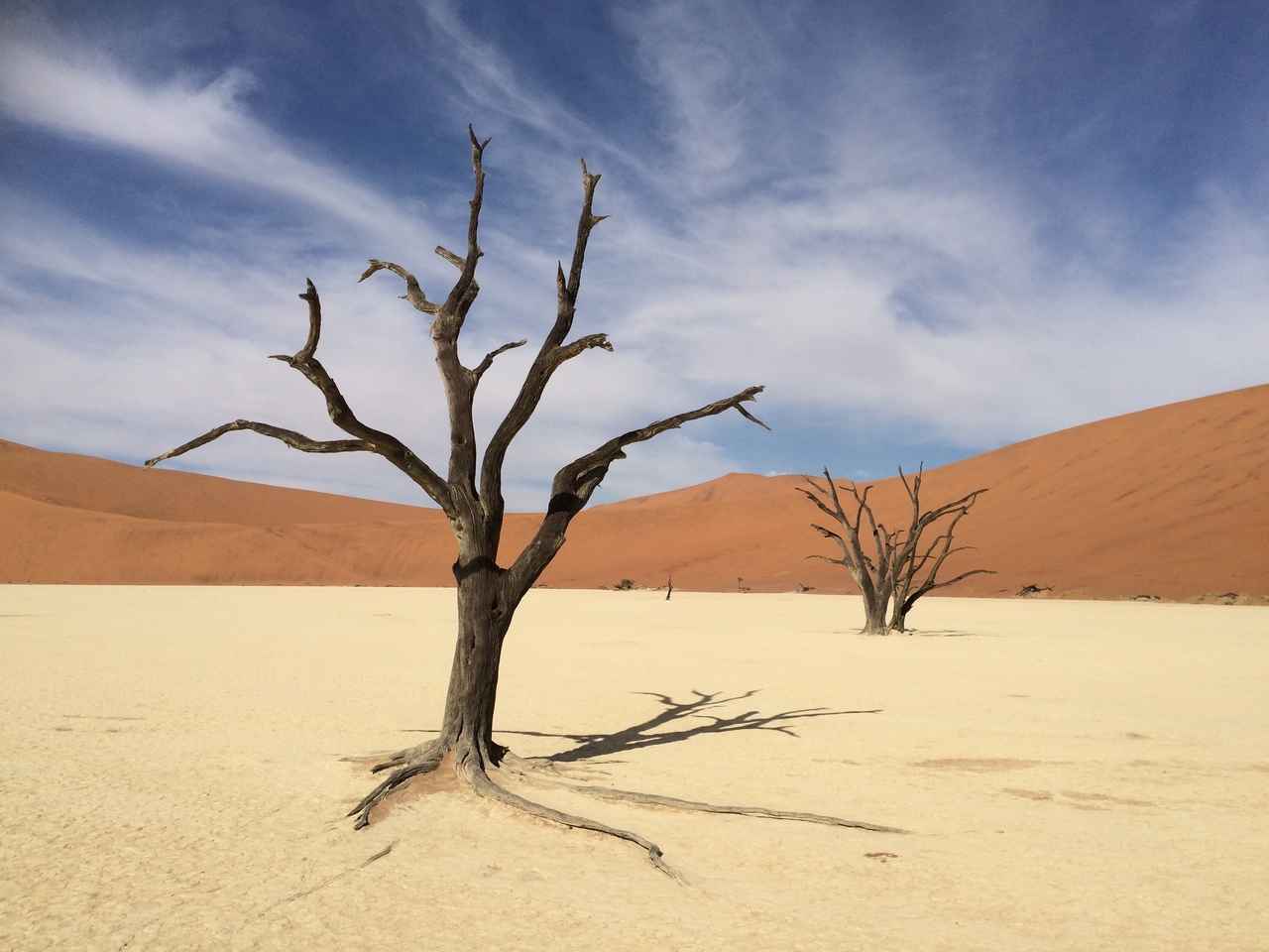 [15374] 2016_06_25_05_22_42_Africa_iPhone_5s_IMG_8357_00562.jpg