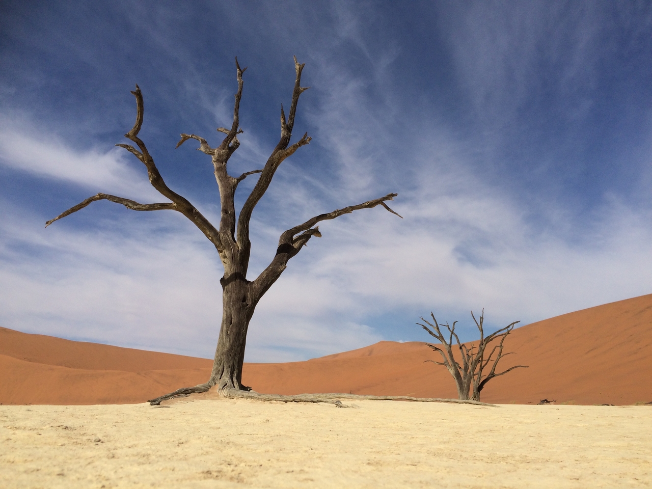 [15380] 2016_06_25_05_23_03_Africa_iPhone_5s_IMG__00565.jpg