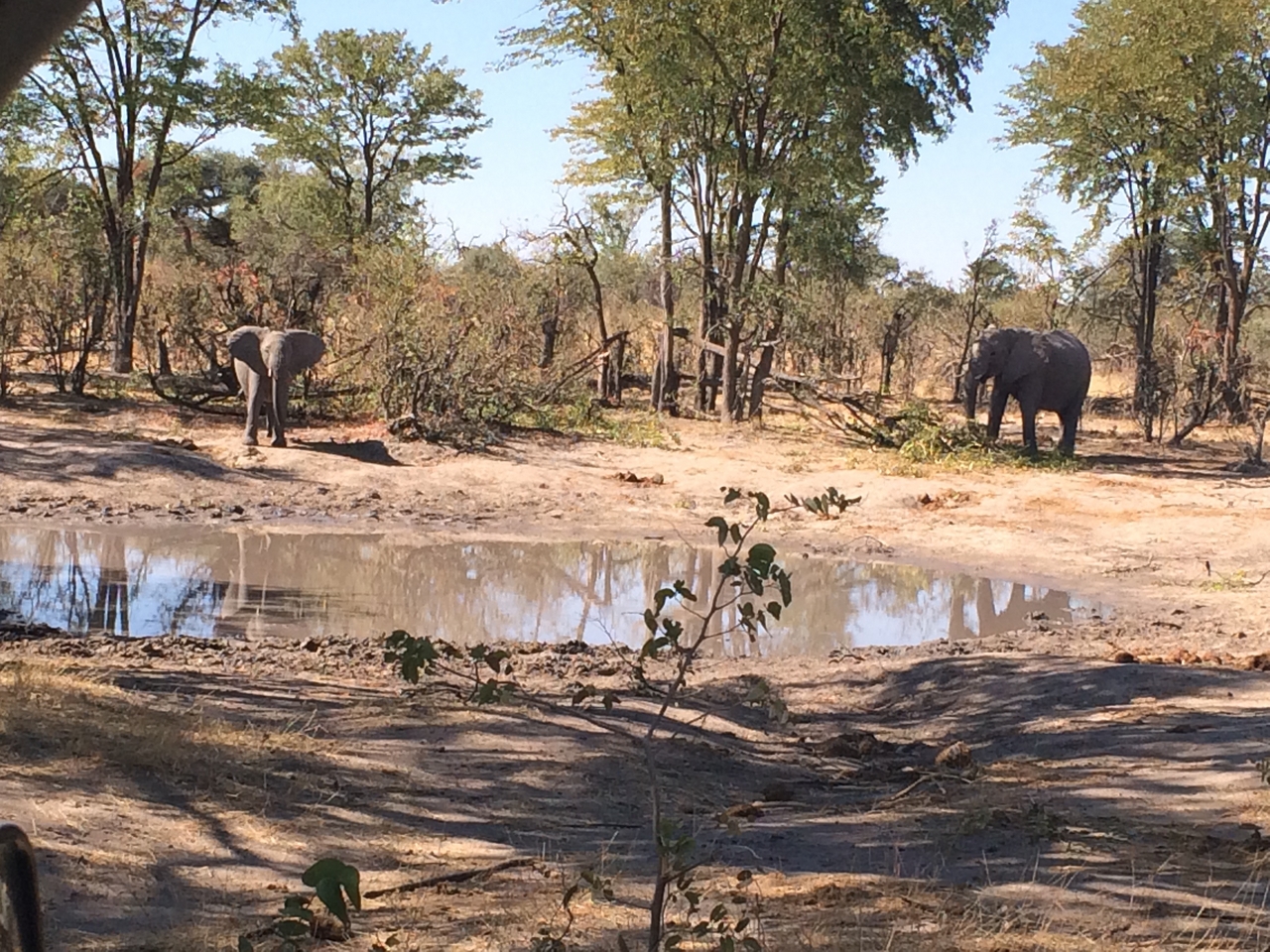 [16814] 2016_06_27_07_51_35_Africa_iPhone_5s_IMG_8440_00704.jpg