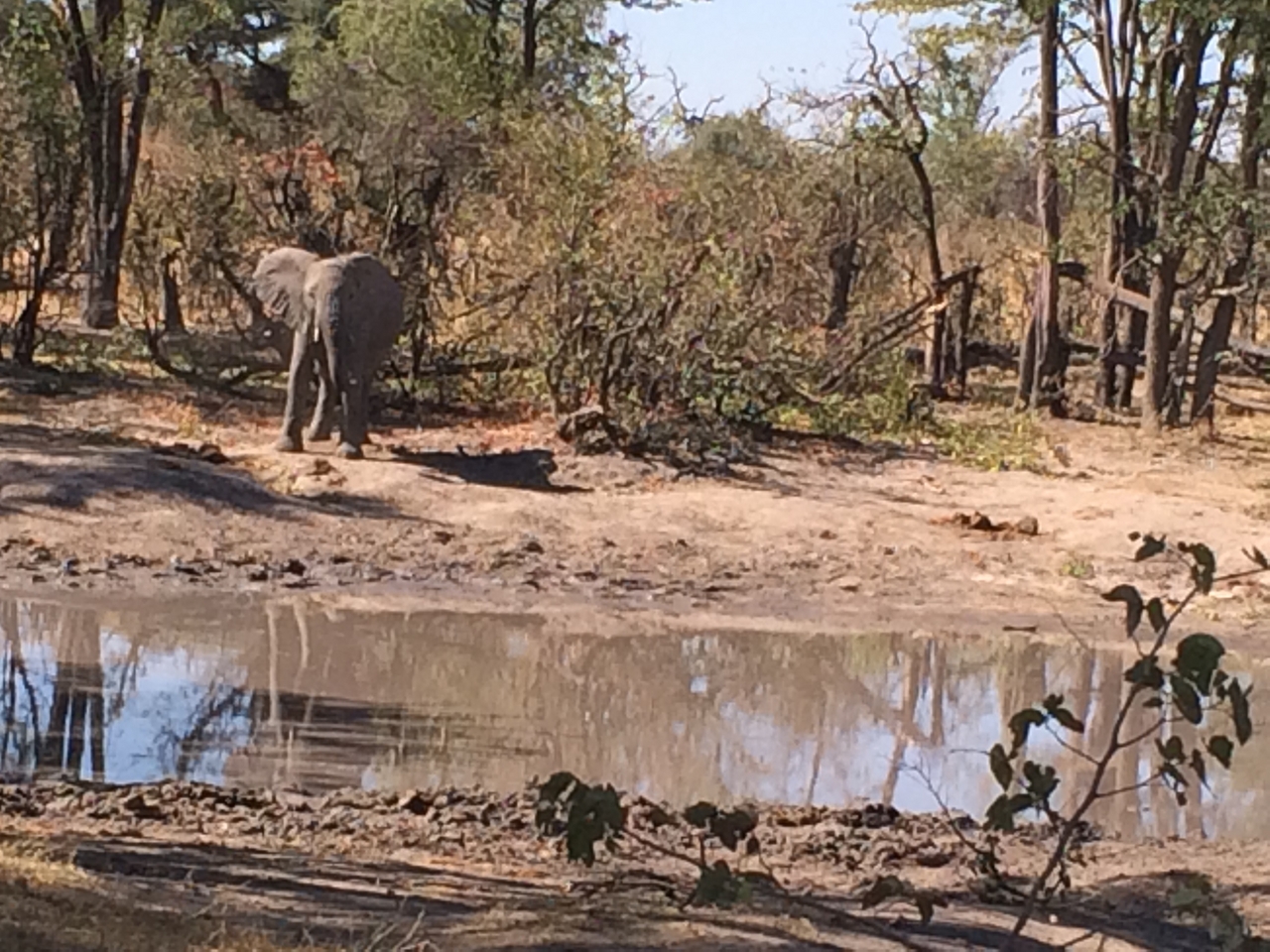 [16838] 2016_06_27_07_51_58_Africa_iPhone_5s_IMG_8441_00707.jpg