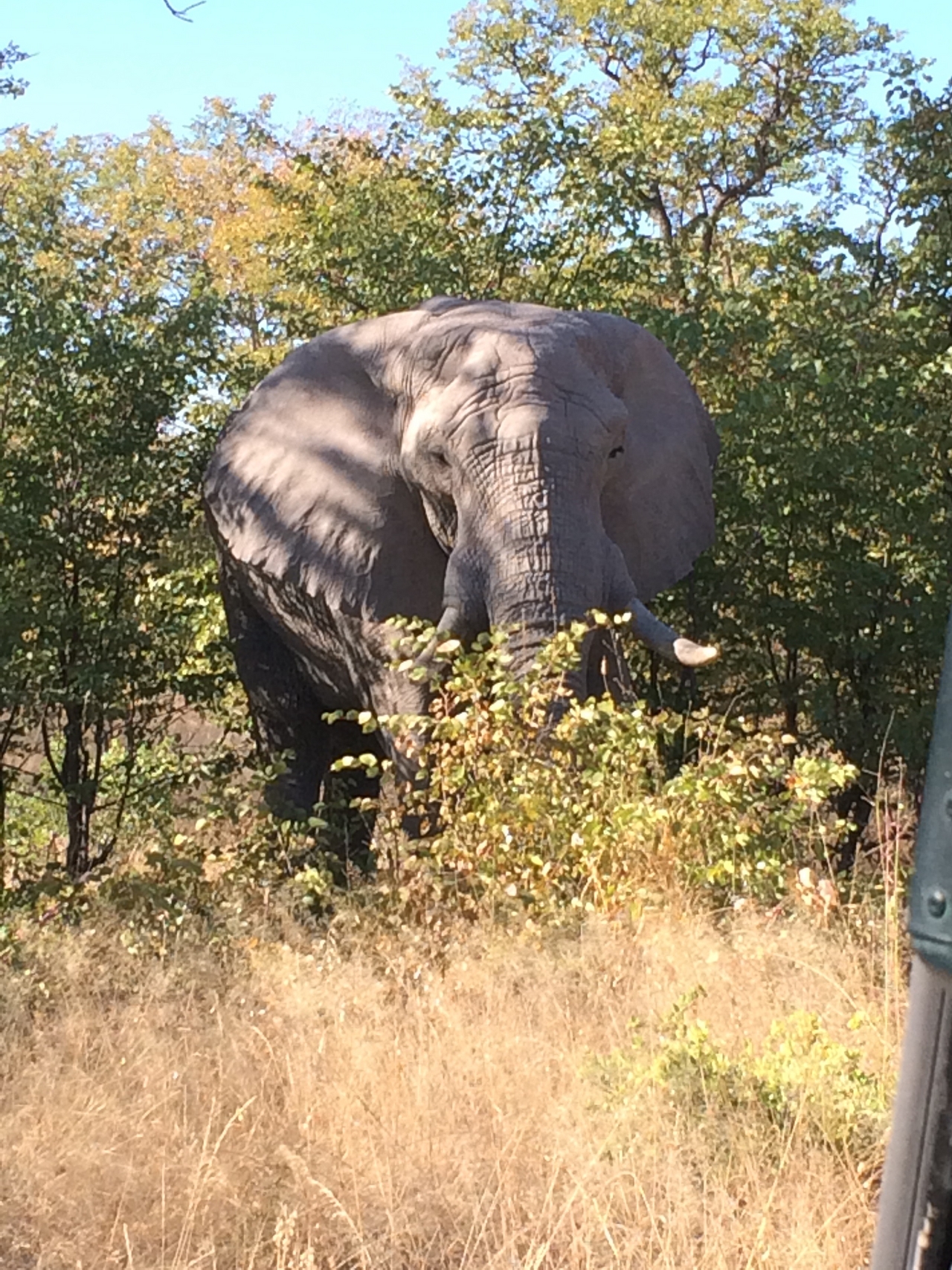 [17073] 2016_06_27_09_26_11_Africa_iPhone_5s_IMG_8447_00722.jpg