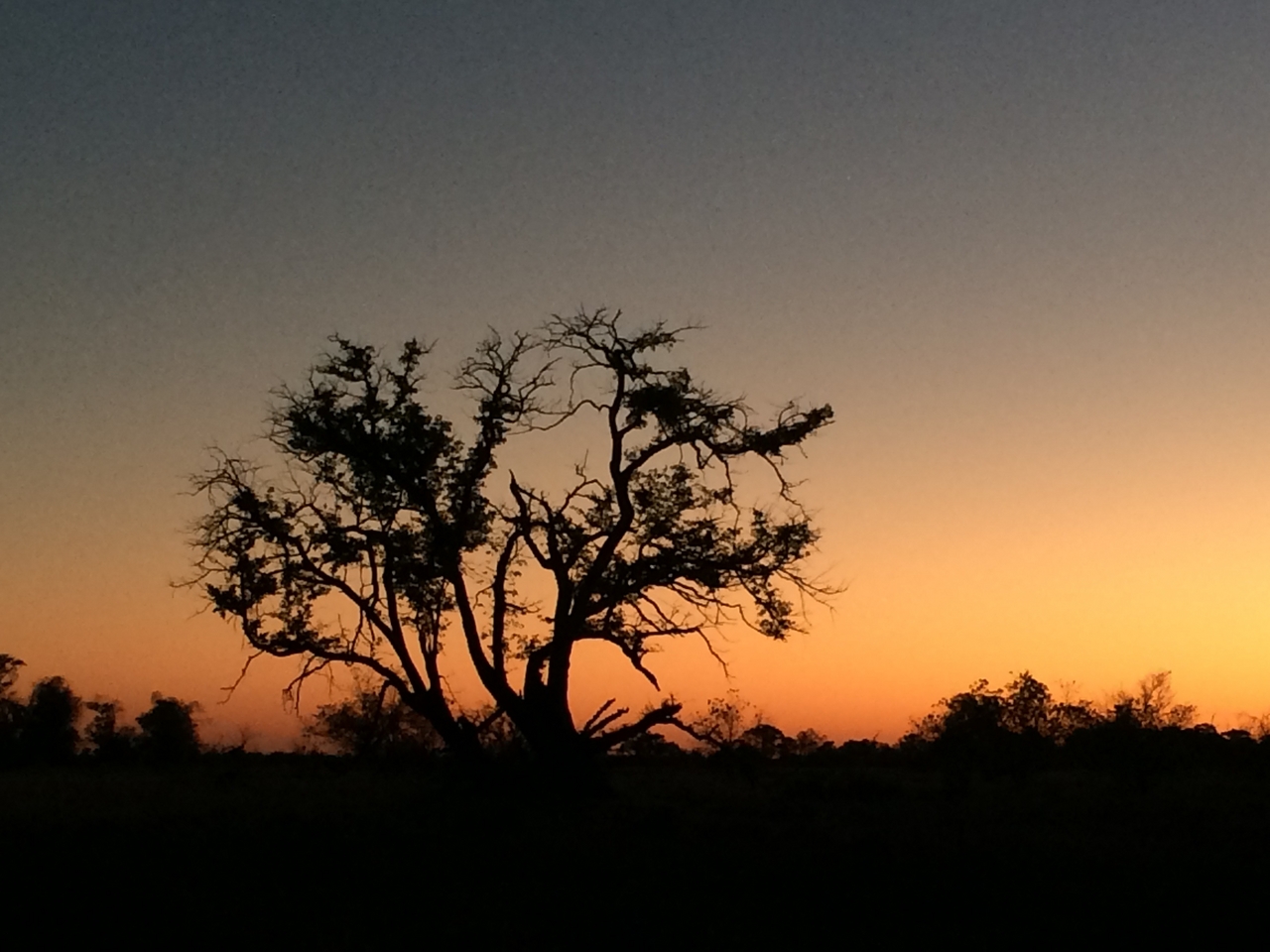 [17170] 2016_06_27_12_22_48_Africa_iPhone_5s_IMG_8463_06360.jpg