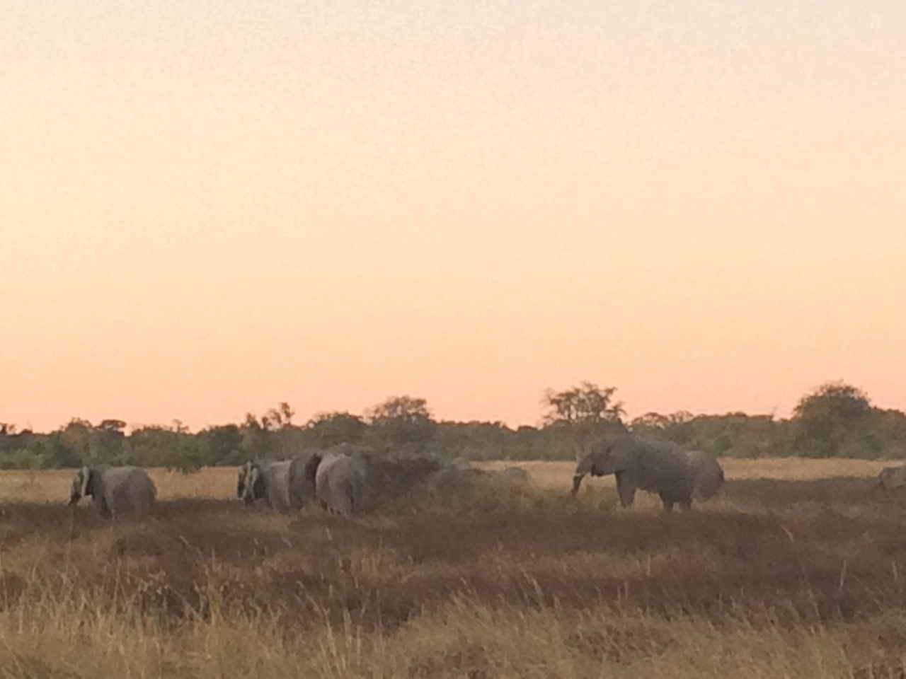 [20201] 2016_06_28_11_55_05_Africa_iPhone_5s_IMG_8501_06401.jpg