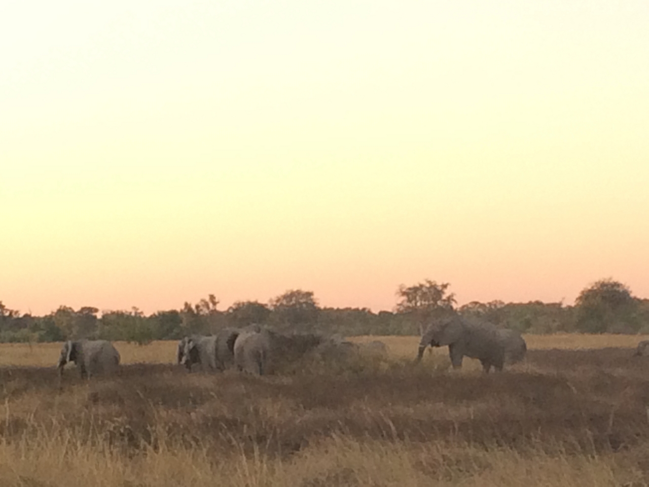 [20204] 2016_06_28_11_55_05_Africa_iPhone_5s_IMG__06400.jpg