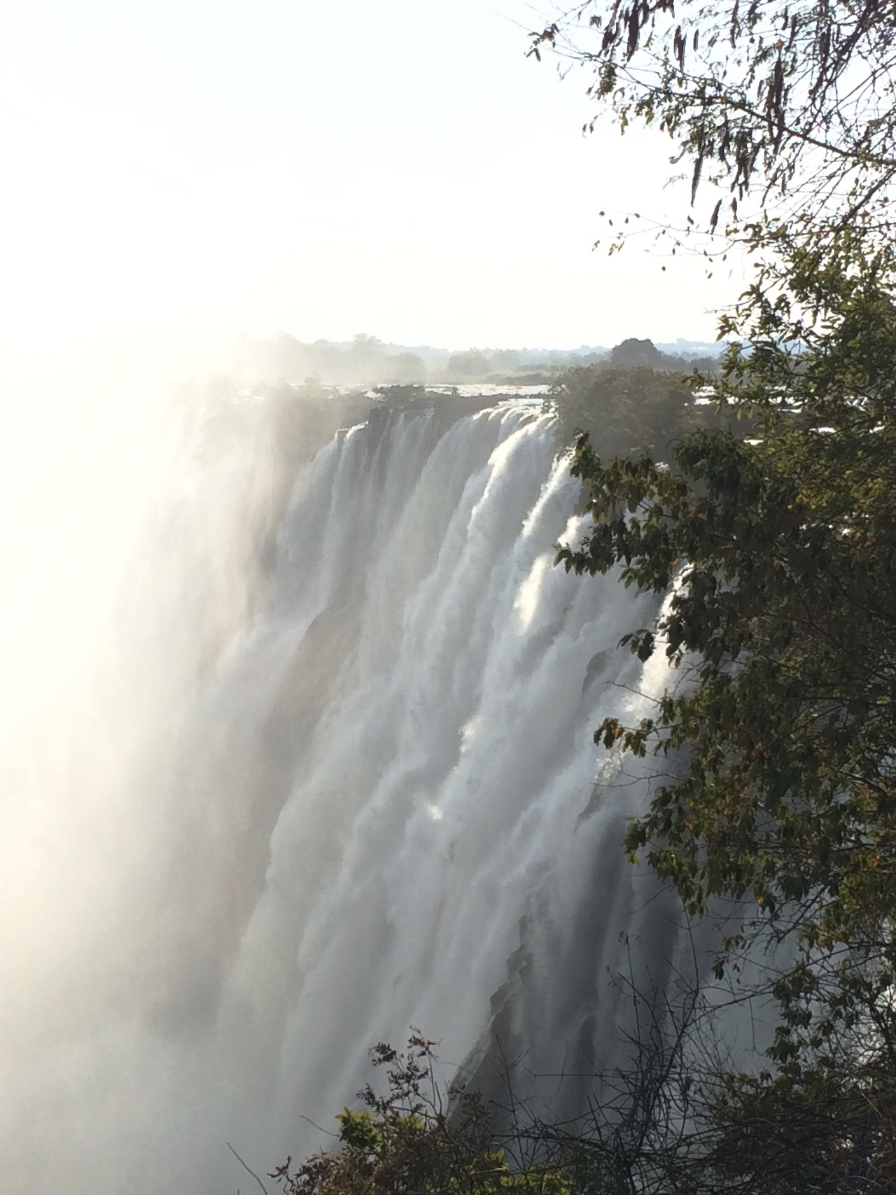 [31925] 2016_07_03_09_54_25_Africa_iPhone_5s_IMG__06477.jpg