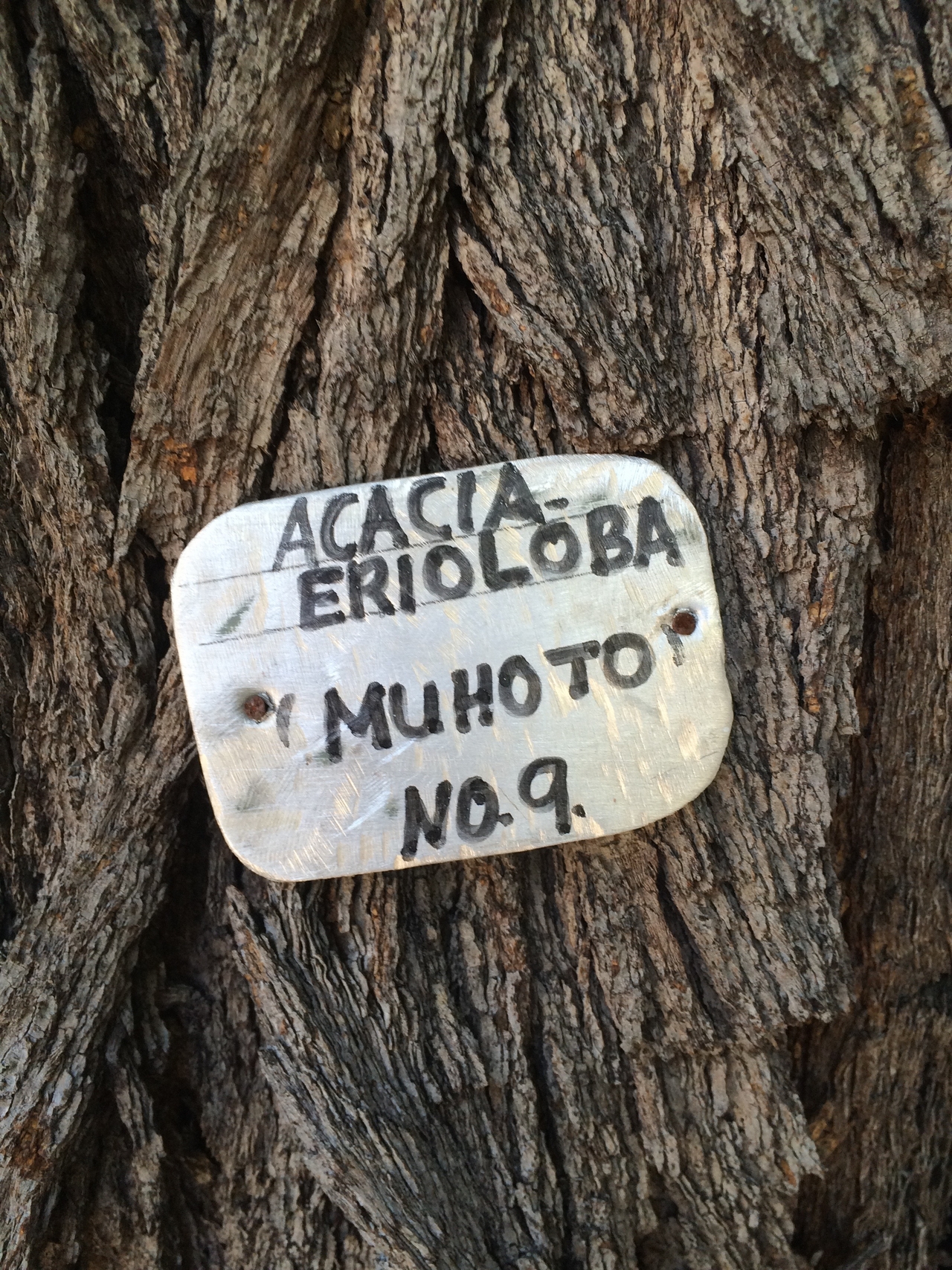 [32822] 2016_07_04_05_04_08_Africa_iPhone_5s_IMG__06509.jpg