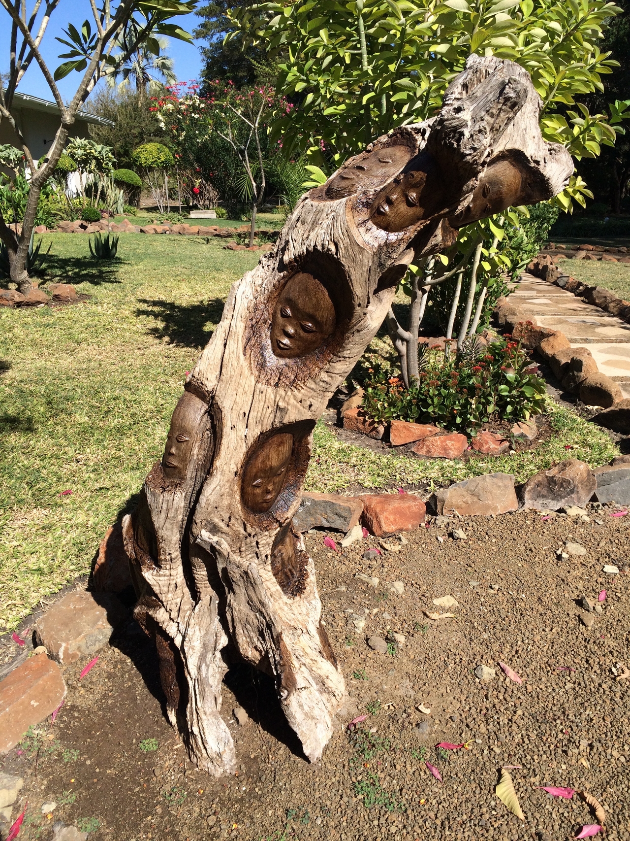 [34455] 2016_07_05_04_22_55_Africa_iPhone_5s_IMG__00947.jpg
