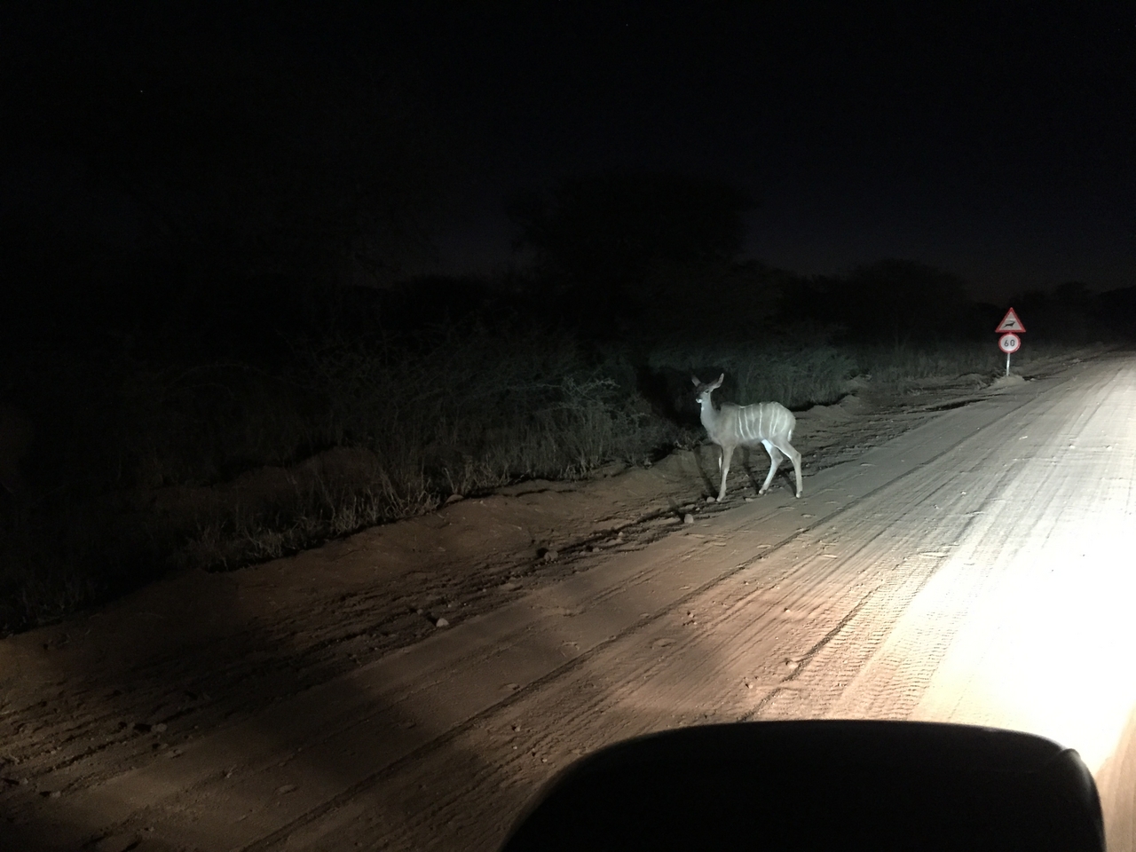 [374] 2016_06_21_18_13_12_Africa_iPhone_6_IMG_7542_02481.jpg