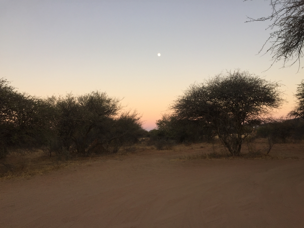 [2209] 2016_06_22_06_28_10_Africa_iPhone_6_IMG_7573_02511.jpg
