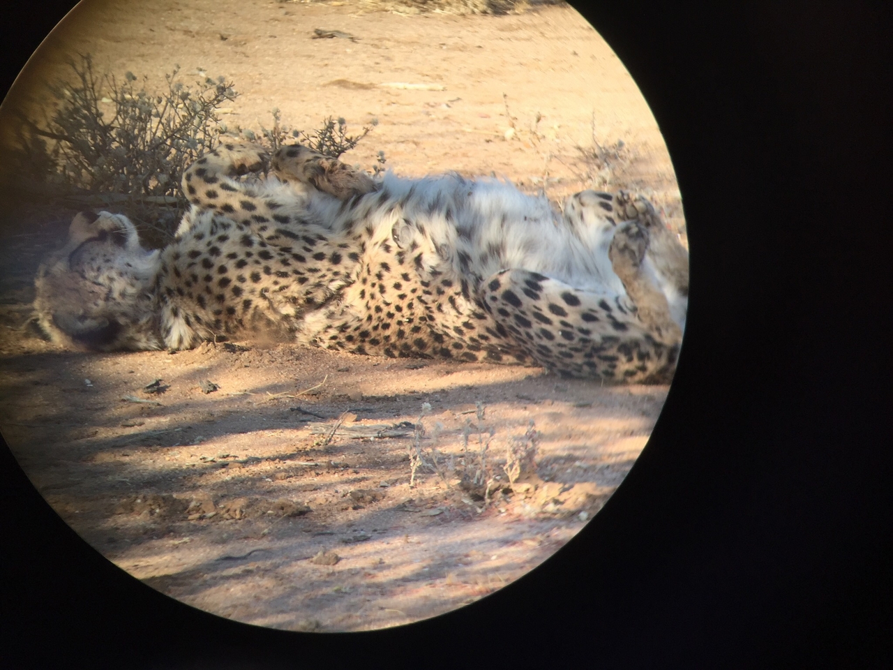 [2232] 2016_06_22_07_12_13_Africa_iPhone_6_IMG_3432_00122.jpg