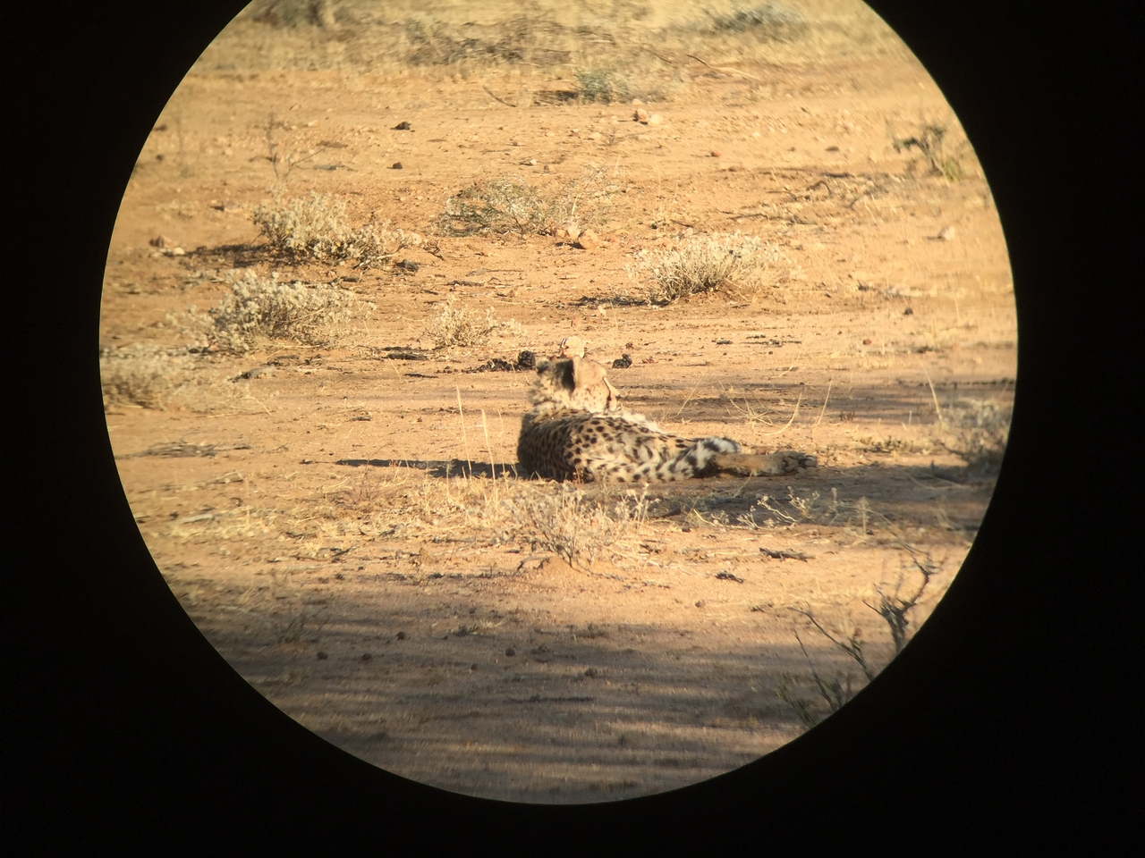 [2336] 2016_06_22_07_45_45_Africa_iPhone_6_IMG_7577_02515.jpg