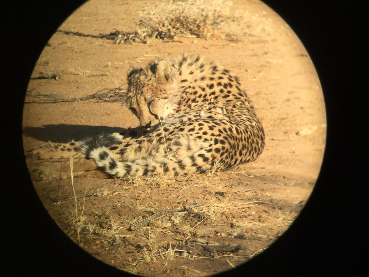 [2367] 2016_06_22_07_50_26_Africa_iPhone_6_IMG_7593_00190.jpg