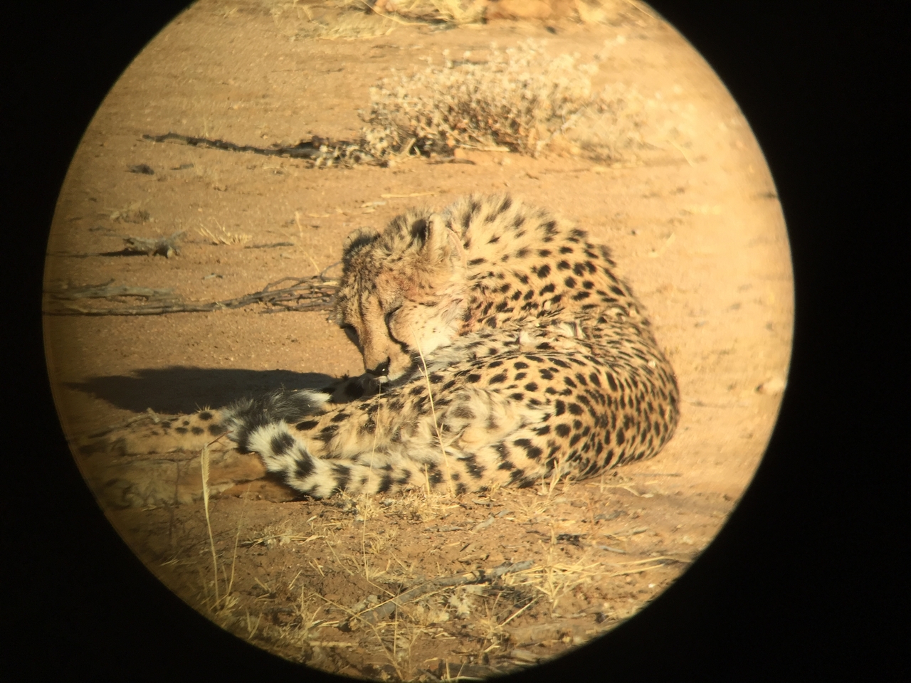 [2370] 2016_06_22_07_50_28_Africa_iPhone_6_IMG_7594_02532.jpg