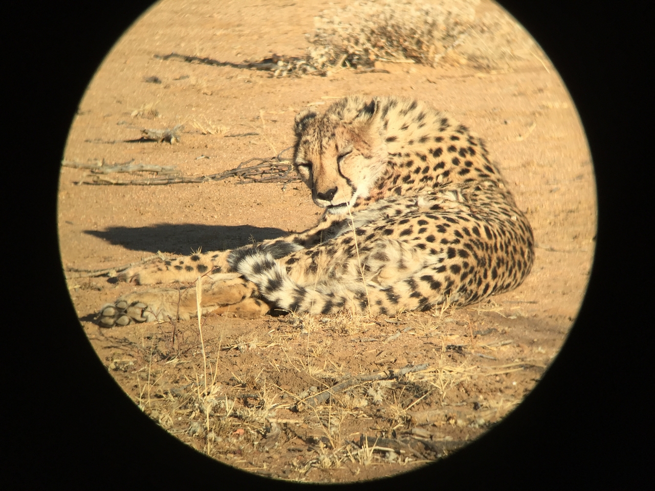 [2376] 2016_06_22_07_51_10_Africa_iPhone_6_IMG_7597_02535.jpg