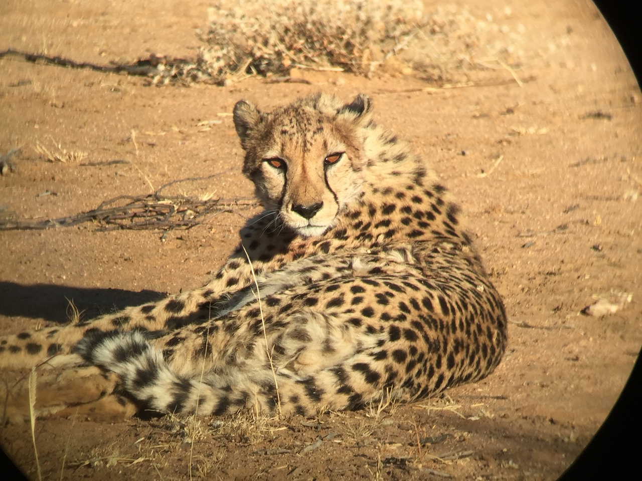 [2380] 2016_06_22_07_52_00_Africa_iPhone_6_IMG_7599_02537.jpg