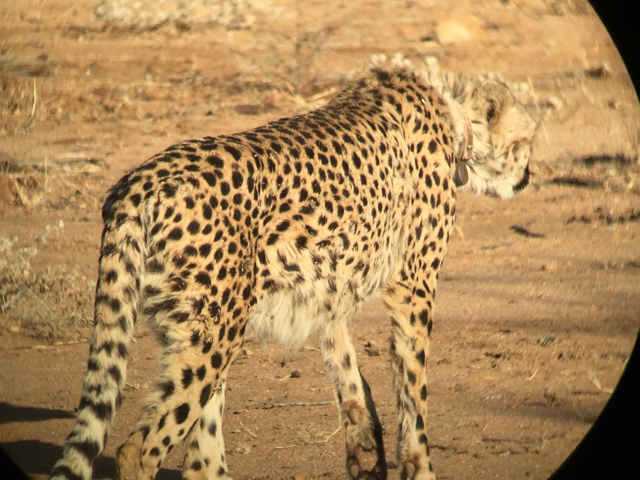 [2383] 2016_06_22_07_52_08_Africa_iPhone_6_IMG_7601_00198.jpg