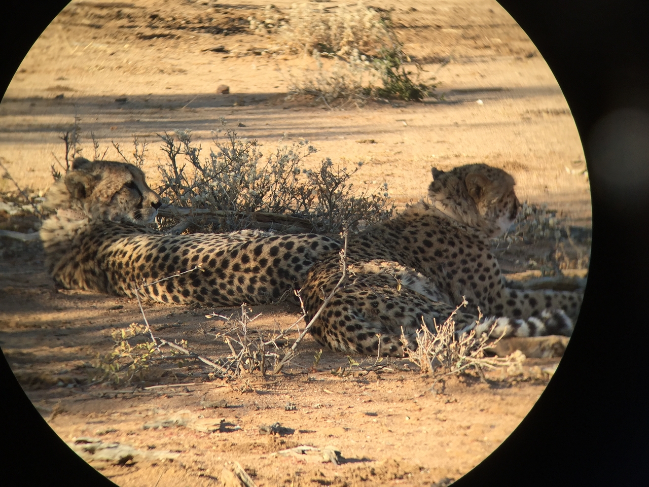 [2401] 2016_06_22_08_00_33_Africa_iPhone_6_IMG_7614_00207.jpg