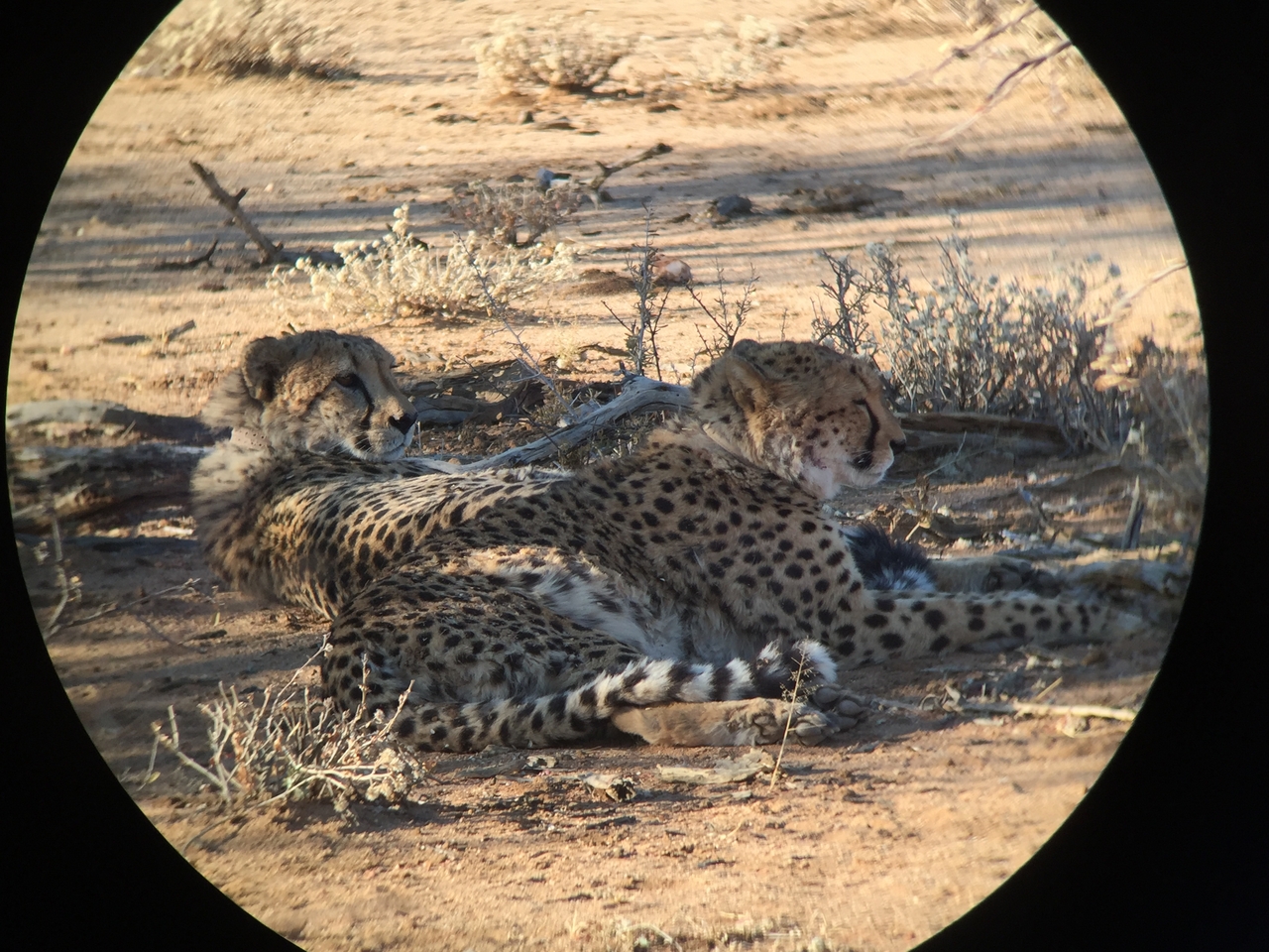[2403] 2016_06_22_08_01_11_Africa_iPhone_6_IMG_7615_00208.jpg