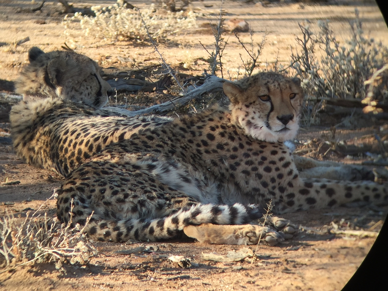 [2415] 2016_06_22_08_02_47_Africa_iPhone_6_IMG_7621_00214.jpg