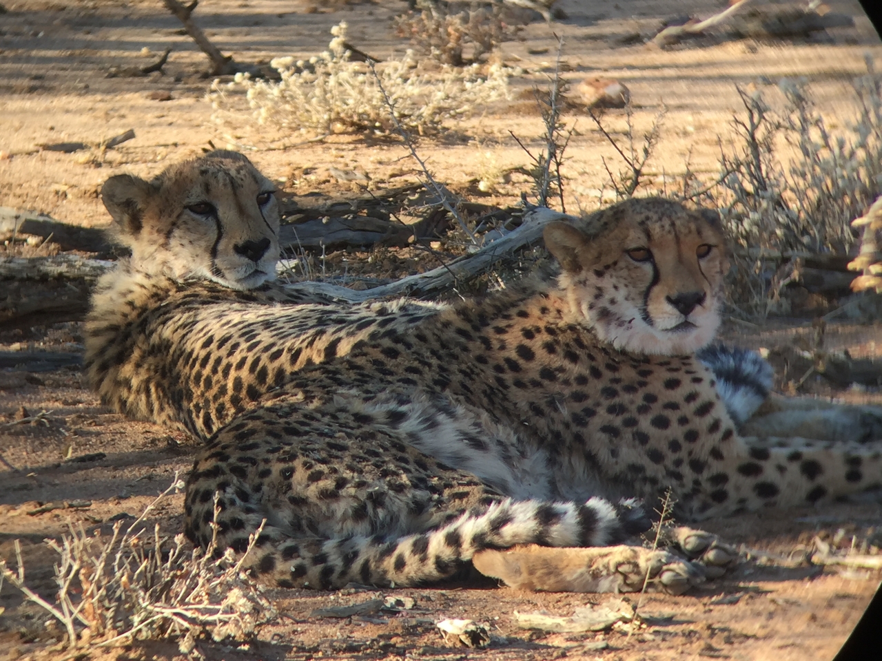 [2419] 2016_06_22_08_03_41_Africa_iPhone_6_IMG_7623_00216.jpg