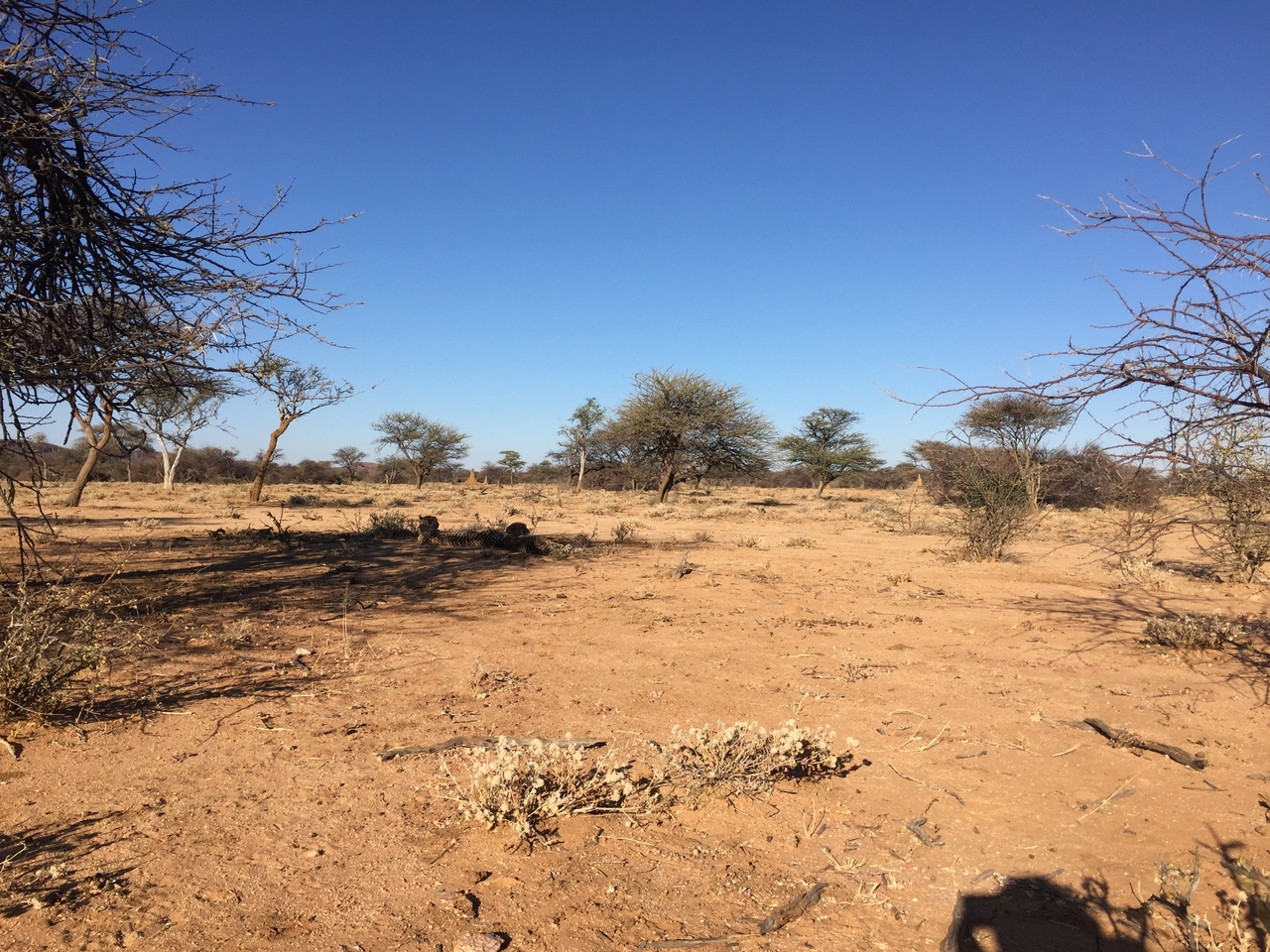 [2431] 2016_06_22_08_08_14_Africa_iPhone_6_IMG_7630_00222.jpg