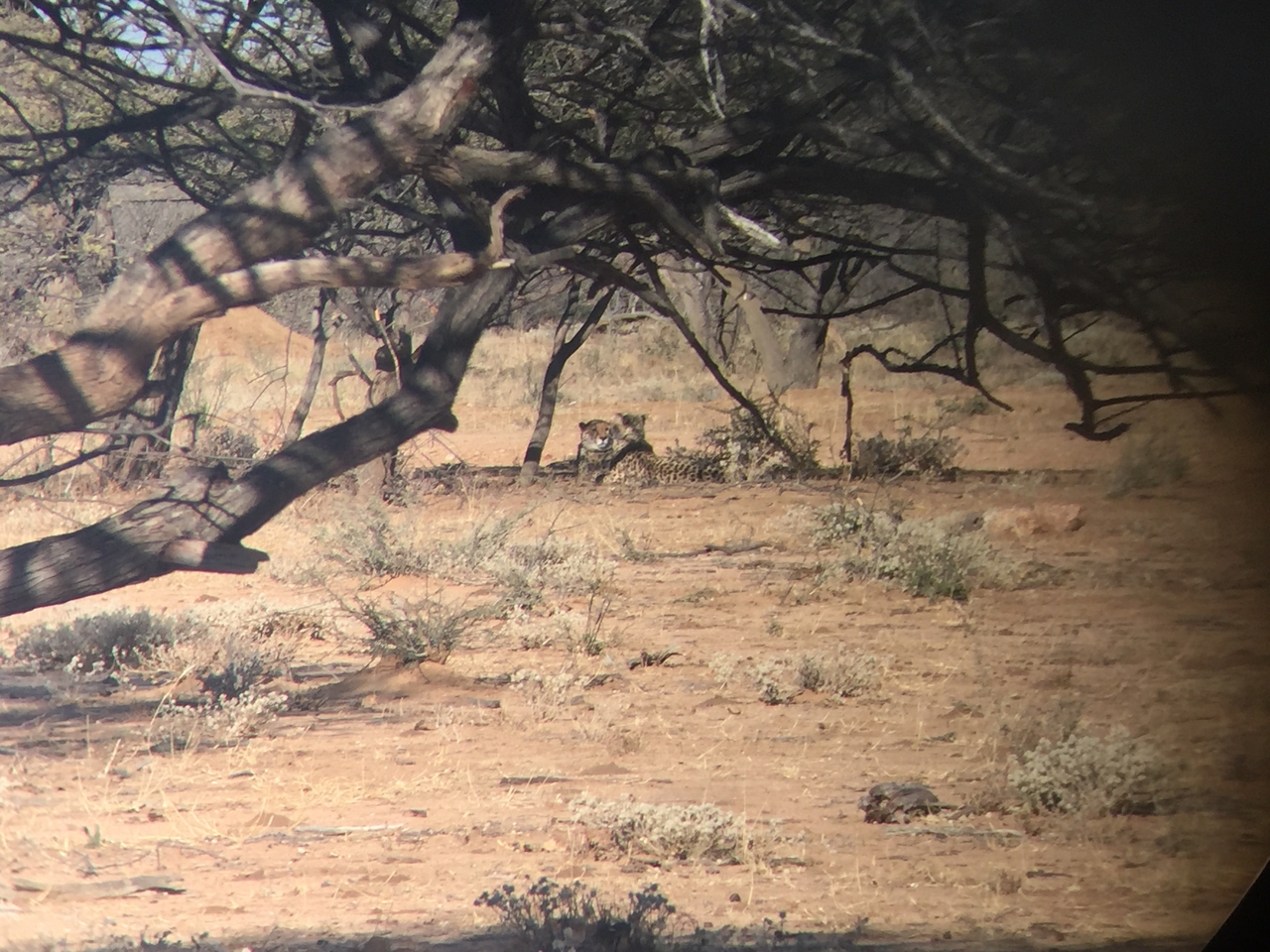 [2469] 2016_06_22_08_23_50_Africa_iPhone_6_IMG_7650_00241.jpg