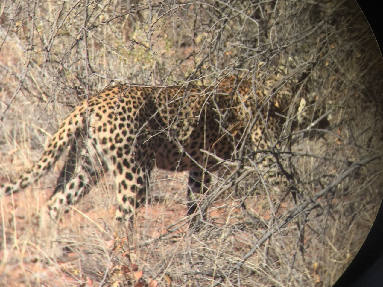 [2491] 2016_06_22_08_56_54_Africa_iPhone_6_IMG_7659_00250.jpg
