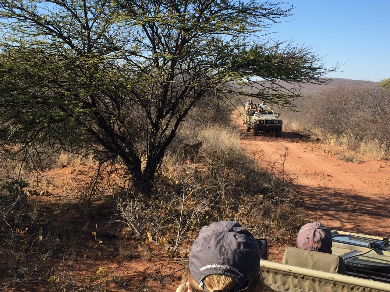 [2499] 2016_06_22_09_07_18_Africa_iPhone_6_IMG_7661_00252.jpg