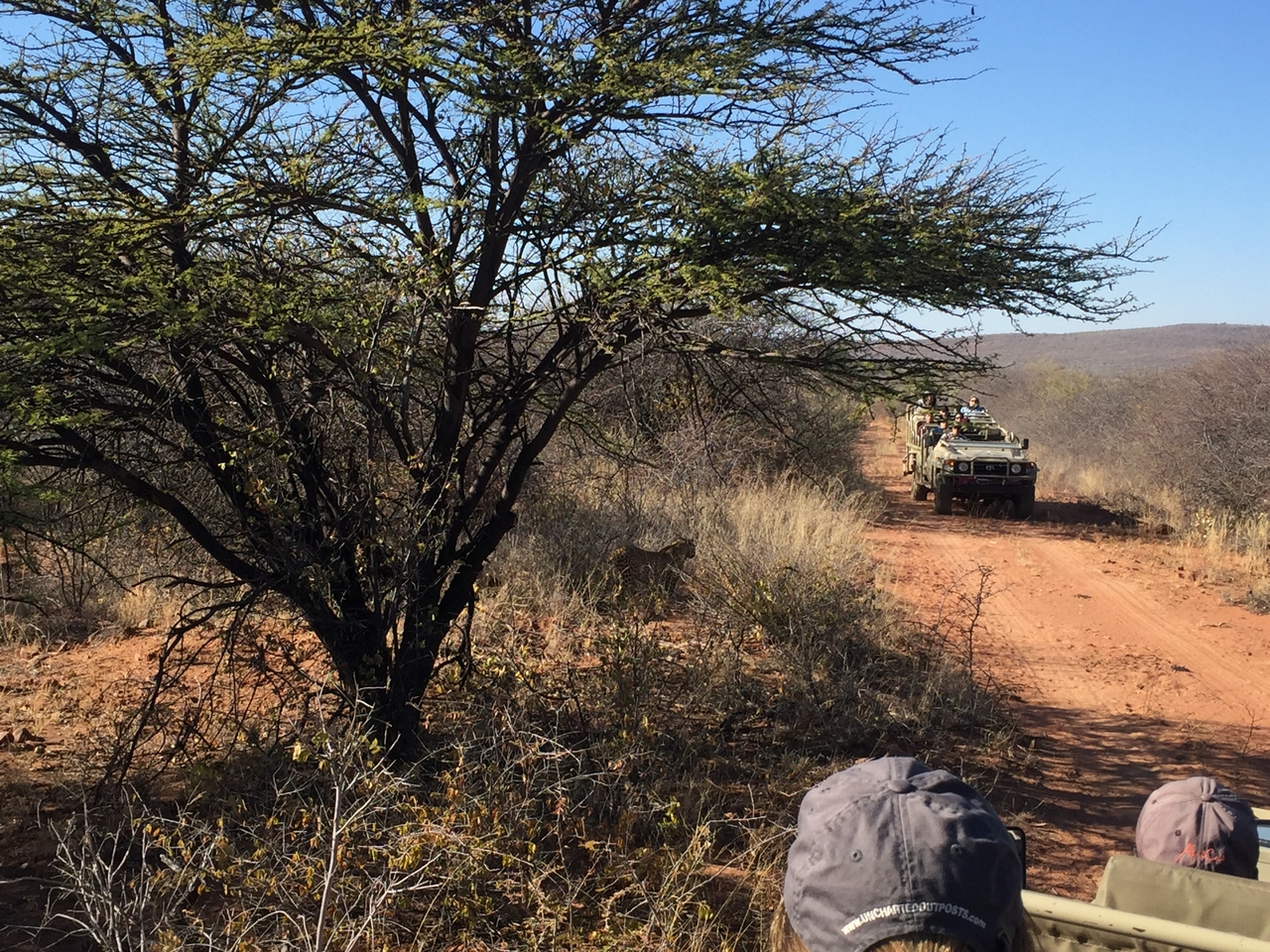 [2501] 2016_06_22_09_07_19_Africa_iPhone_6_IMG_7662_00253.jpg