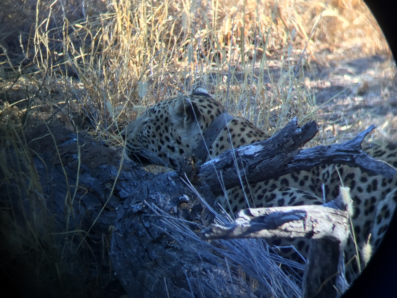 [3590] 2016_06_22_16_18_18_Africa_iPhone_6_IMG_7710_00300.jpg
