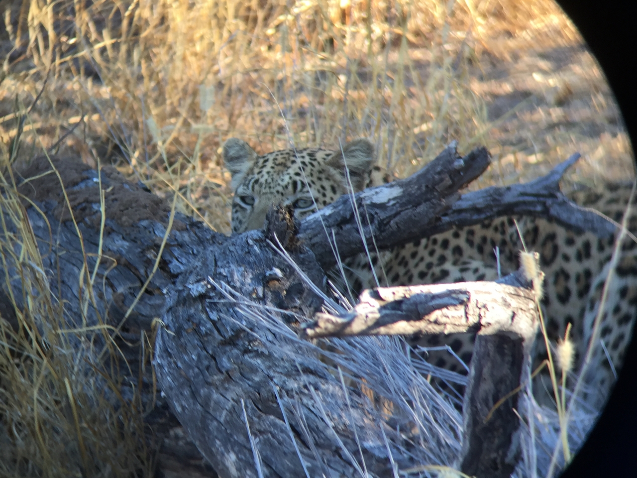 [3596] 2016_06_22_16_18_43_Africa_iPhone_6_IMG_7713_00303.jpg