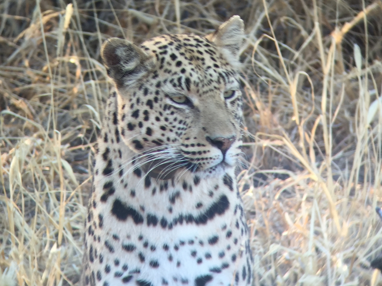 [3608] 2016_06_22_16_23_01_Africa_iPhone_6_IMG_7719_00309.jpg