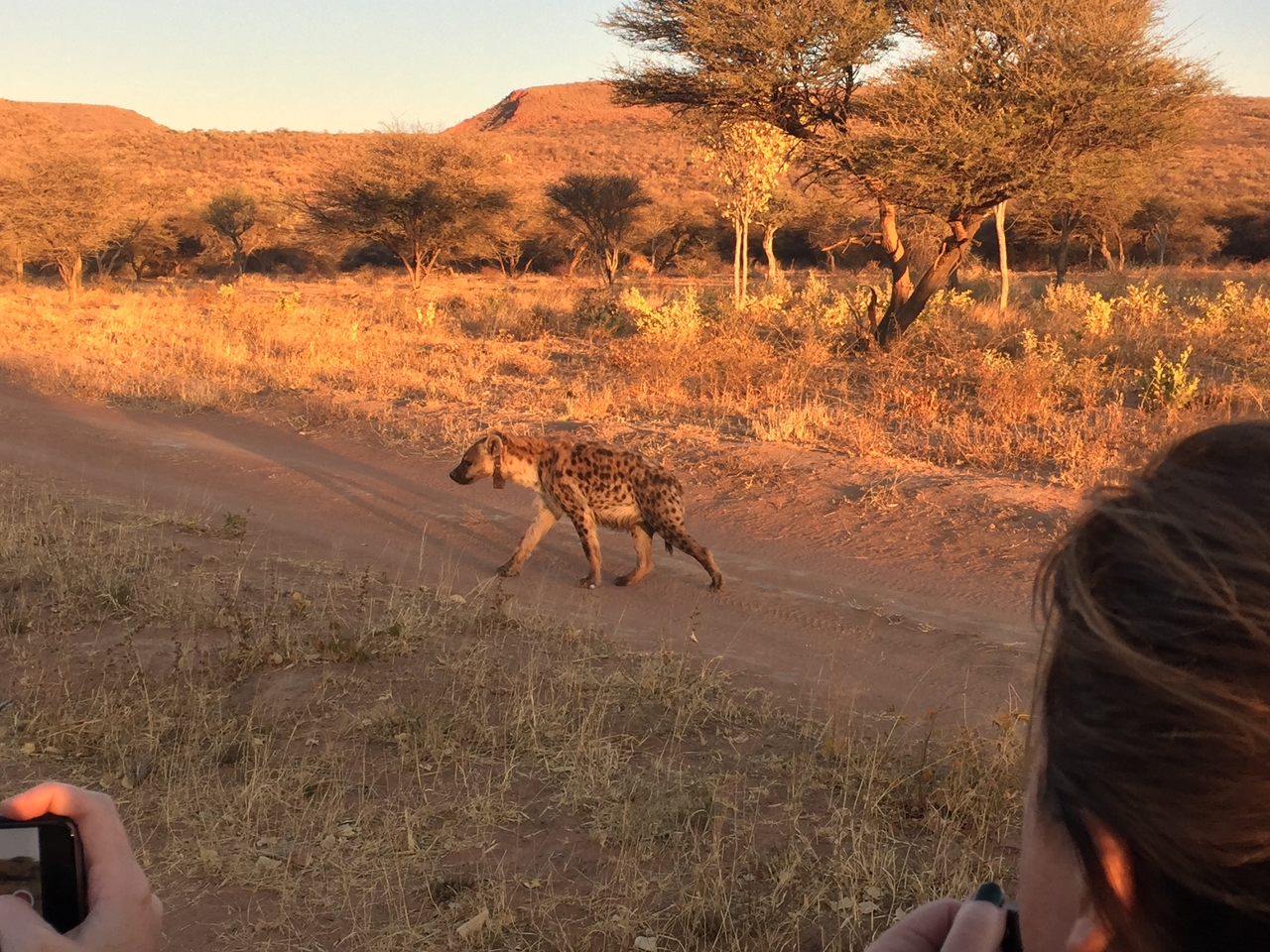 [3660] 2016_06_22_17_06_00_Africa_iPhone_6_IMG_7737_00327.jpg
