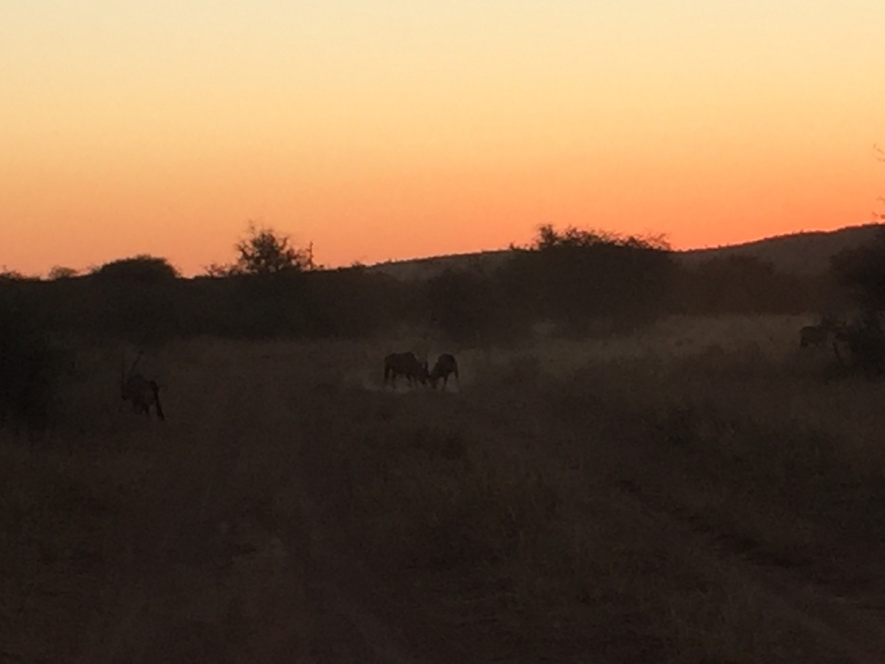 [3702] 2016_06_22_17_24_34_Africa_iPhone_6_IMG_7748_00338.jpg
