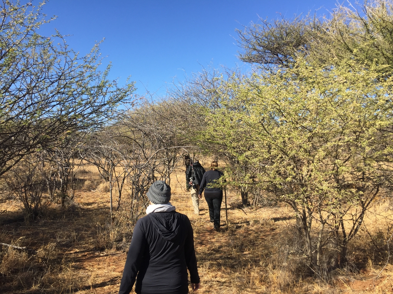 [5270] 2016_06_23_09_04_18_Africa_iPhone_6_IMG_7760_00347.jpg
