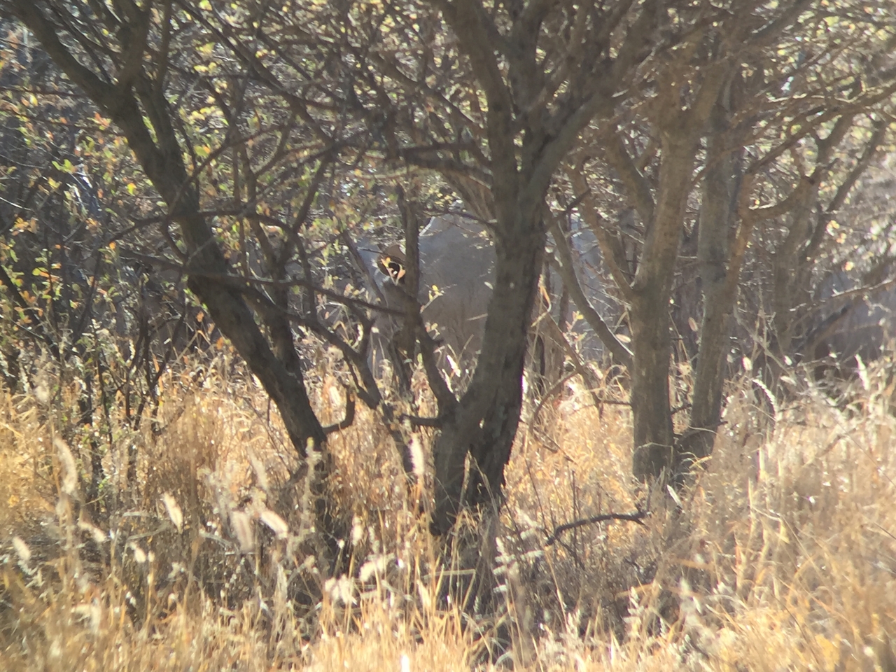 [5278] 2016_06_23_09_17_36_Africa_iPhone_6_IMG_7764_00351.jpg