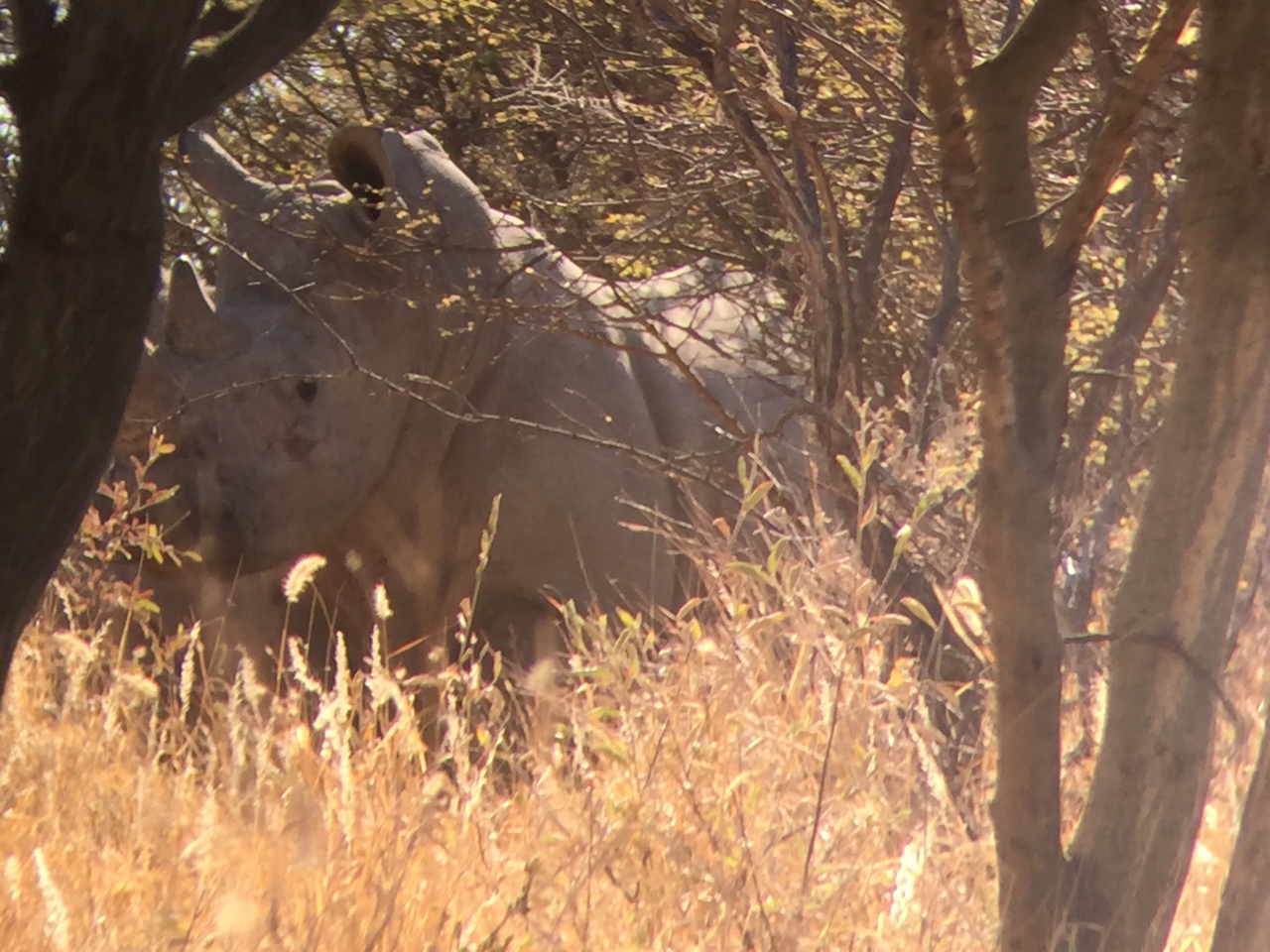 [5299] 2016_06_23_09_19_08_Africa_iPhone_6_IMG_7773_02701.jpg