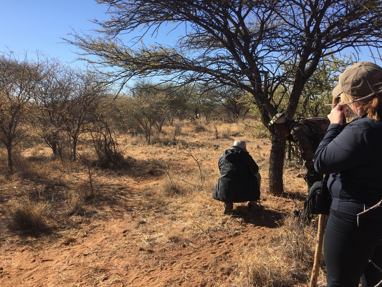 [5316] 2016_06_23_09_24_35_Africa_iPhone_6_IMG_7781_00368.jpg
