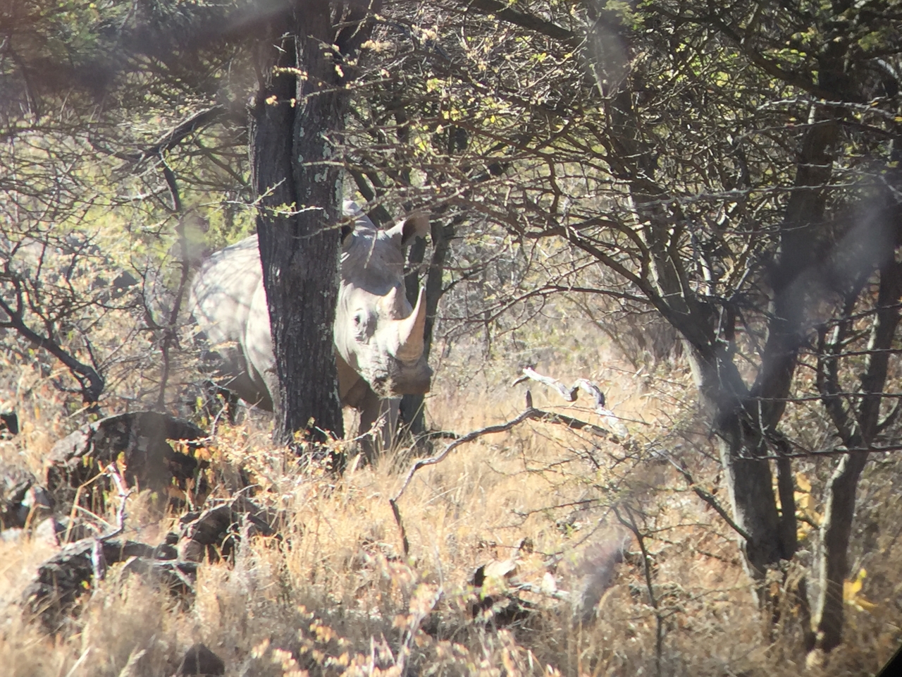 [5323] 2016_06_23_09_25_26_Africa_iPhone_6_IMG_7784_02712.jpg
