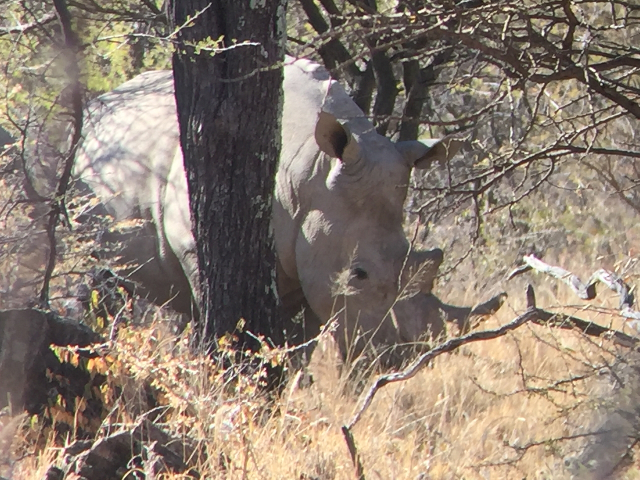 [5331] 2016_06_23_09_25_34_Africa_iPhone_6_IMG_7788_02716.jpg