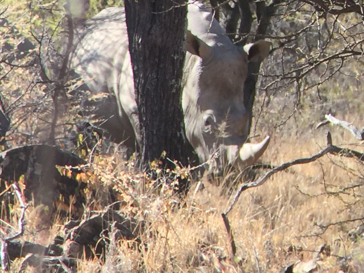 [5332] 2016_06_23_09_25_36_Africa_iPhone_6_IMG_7789_00376.jpg