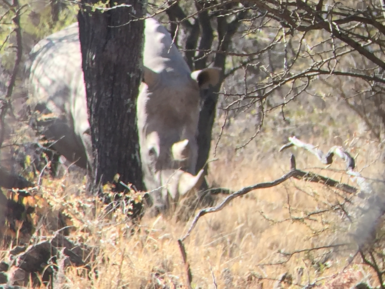 [5336] 2016_06_23_09_25_52_Africa_iPhone_6_IMG_7791_00378.jpg