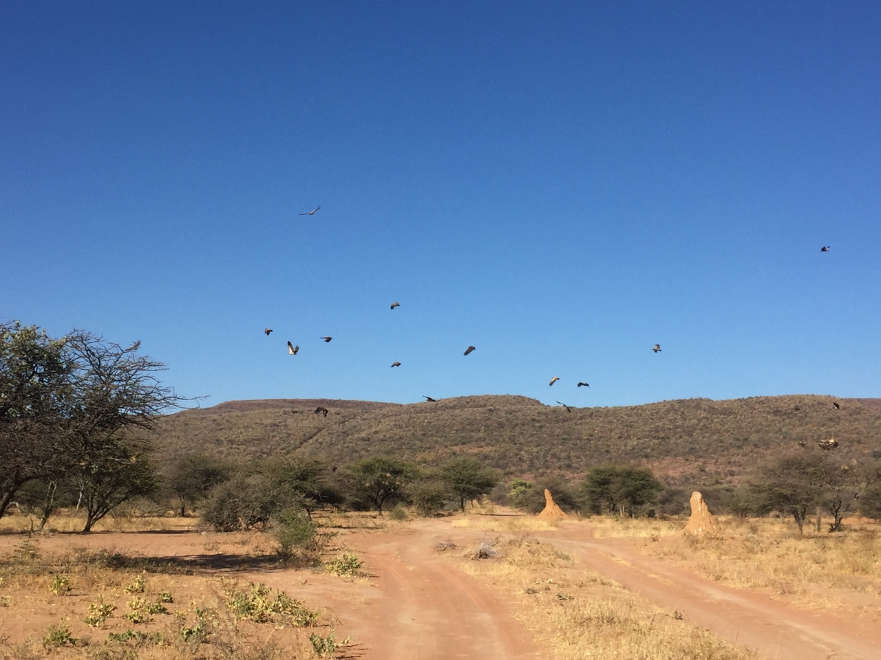 [9034] 2016_06_23_14_57_54_Africa_iPhone_6_IMG_7808_00394.jpg